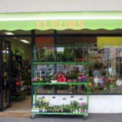 Abracada...fleurs!
