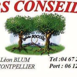 Abs Conseils