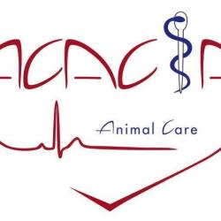 Acacia Clinique Vétérinaire - Dr Delpont