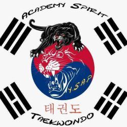 Academy Spirit Y.s.a.p Taekwondo
