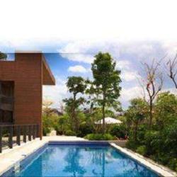 Acanthe Immobilier