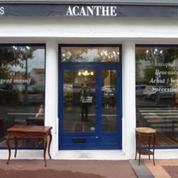 Acanthe