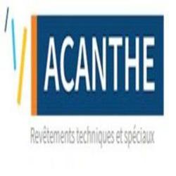 Acanthe