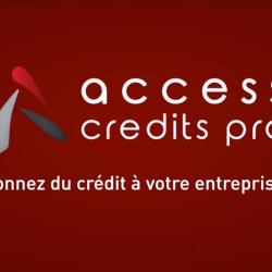 Access Credits Pro