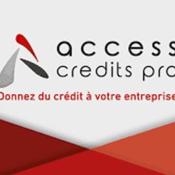 Access Credits Pro