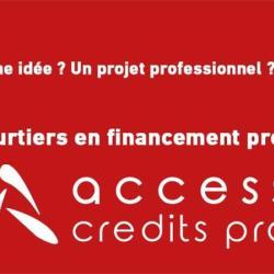 Access Credits Pro