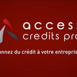 Access Credits Pro