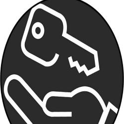 Access Locks Service