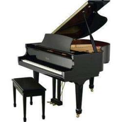 Accordeur De Piano - Philippe Zana