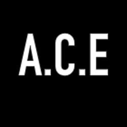 Ace-anjou Couverture Etanchéite Sarl