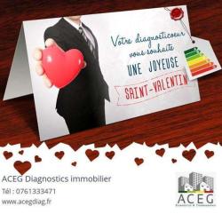 Aceg Diagnostics Immobilier