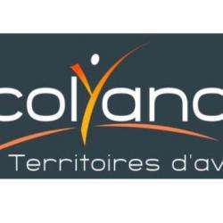 Acolyance