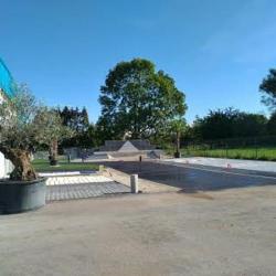 Acqua Design