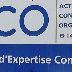 Action Conseil Organisation