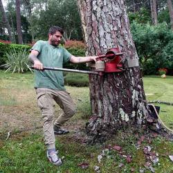 Action Elagage Nature