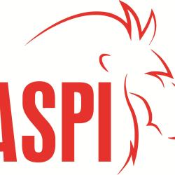 Action Service Protection Intervention - Aspi