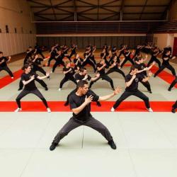 Action Training Productions