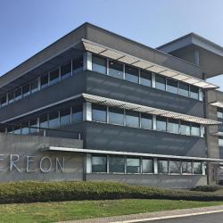 Actis Walter France