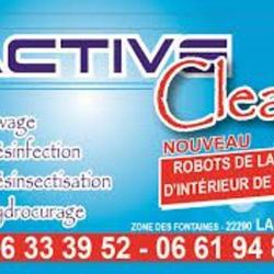 Active Clean