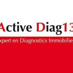 Active Diag13