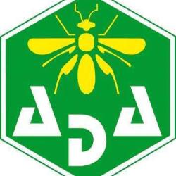 Ada Omnisports