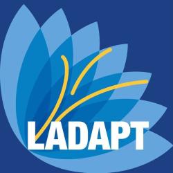 Adapt  Dijon