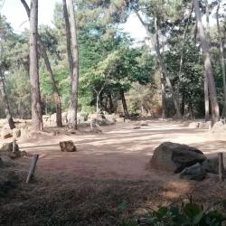 Adef Résidences Le Domaine De La Flèche