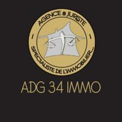 Adg 34 Immo