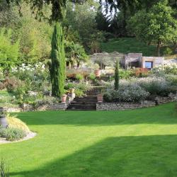 Adh Services 45 - Entretien Jardin élagage Orléans