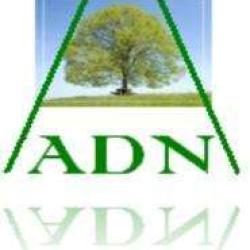 A.d.n.