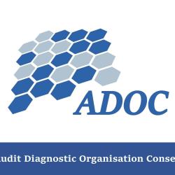 Adoc (audit - Diagnostic - Organisation - Conseil)