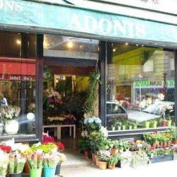 Adonis Fleurs Paris