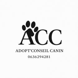 Adoptconseilcanin