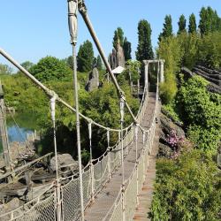 Adventure Isle