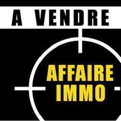 Affaire Immo