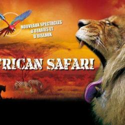African Safari Zoo