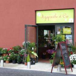 Agapanthe Et Compagnie