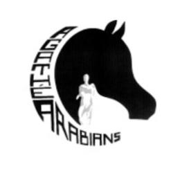 Agathé Arabians