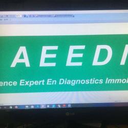 Agce Expert En Diagnostic