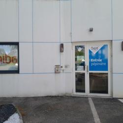 Agence Adie