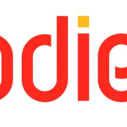 Agence Adie