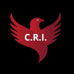 Agence C.r.i. - Détective Privé à Orléans Conseils Recherches Investigations
