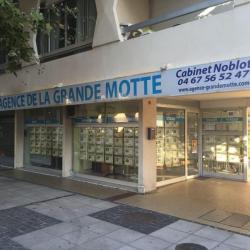 Agence De La Grande Motte