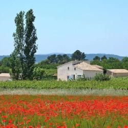 Agence Du Pays D'aigues