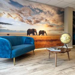 Agence De Voyage Tui Store Saint-maur-des-fossés