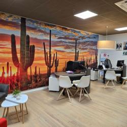 Agence De Voyage Tui Store Tournefeuille