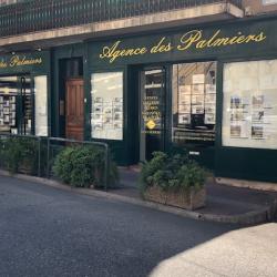 Agence Des Palmiers