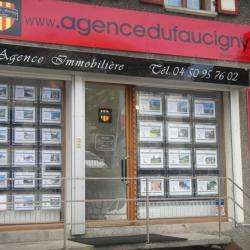 Agence Du Faucigny
