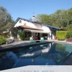 Gambetta Immobilier