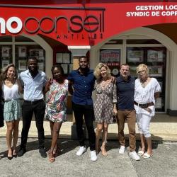 Agence Immo Conseil Pointe A Pitre